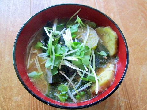 かいわれ入りナスの味噌汁